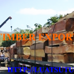 Thủ tục xin cấp Giấy phép xuất khẩu gỗ