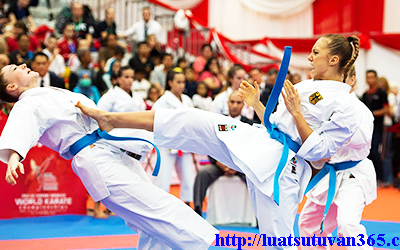 Thủ tục xin giấy phép hoạt động để kinh doanh karate